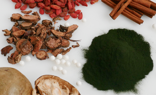 What Are Adaptogens? A 2026 Guide to Stress, Focus, & Slowing Down